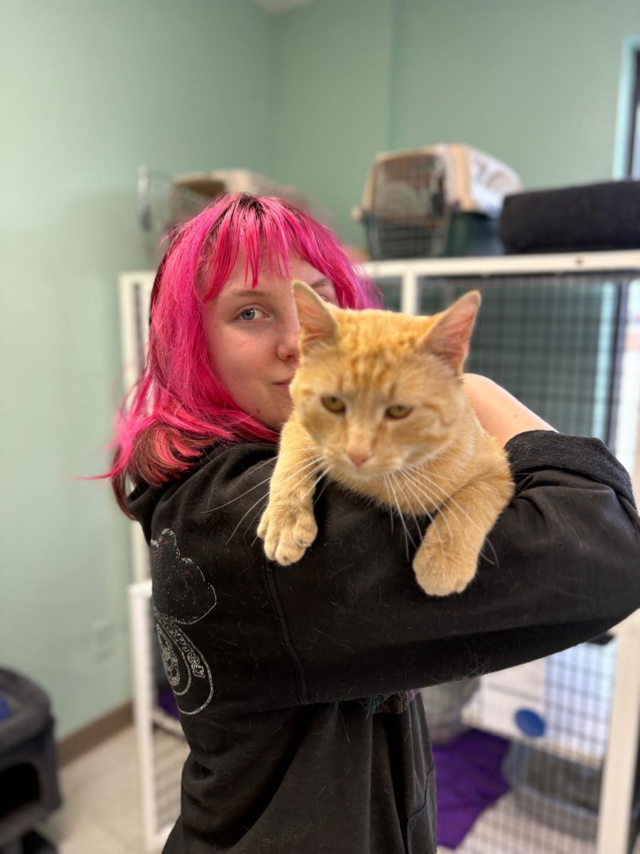 Internship at Humane Society